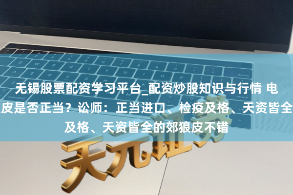 无锡股票配资学习平台_配资炒股知识与行情 电商平台售卖狼皮是否正当？讼师：正当进口、检疫及格、天资皆全的郊狼皮不错