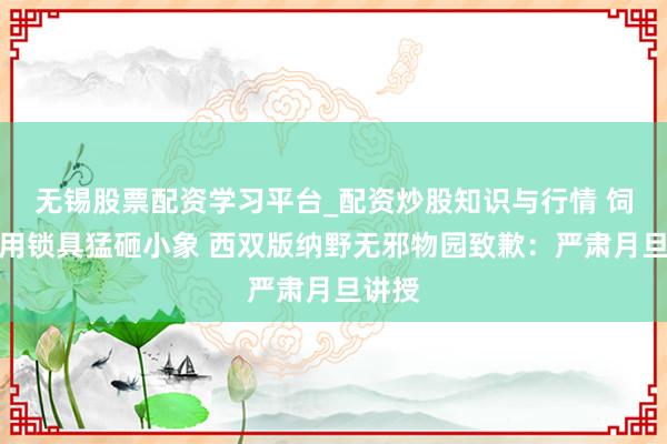 无锡股票配资学习平台_配资炒股知识与行情 饲养员用锁具猛砸小象 西双版纳野无邪物园致歉：严肃月旦讲授