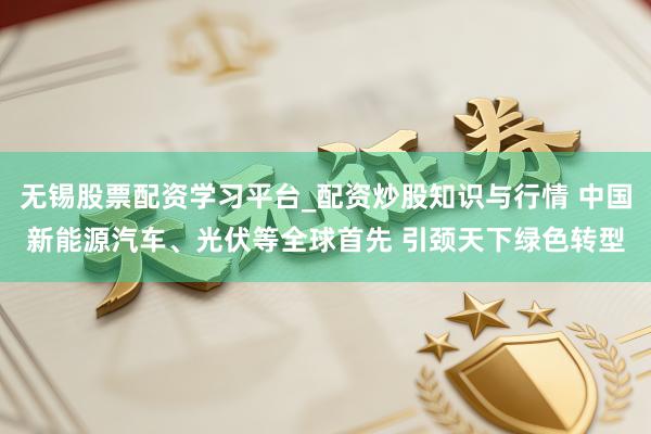 无锡股票配资学习平台_配资炒股知识与行情 中国新能源汽车、光伏等全球首先 引颈天下绿色转型