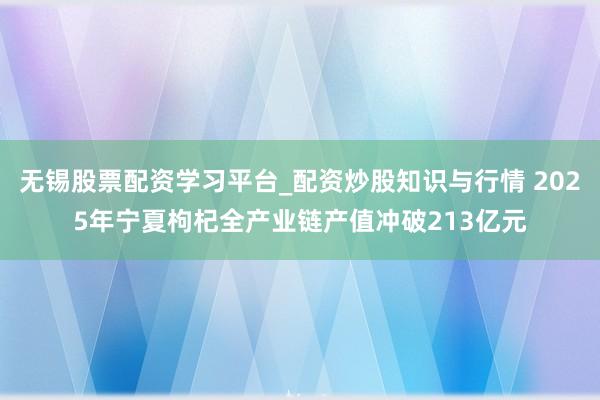 无锡股票配资学习平台_配资炒股知识与行情 2025年宁夏枸杞全产业链产值冲破213亿元