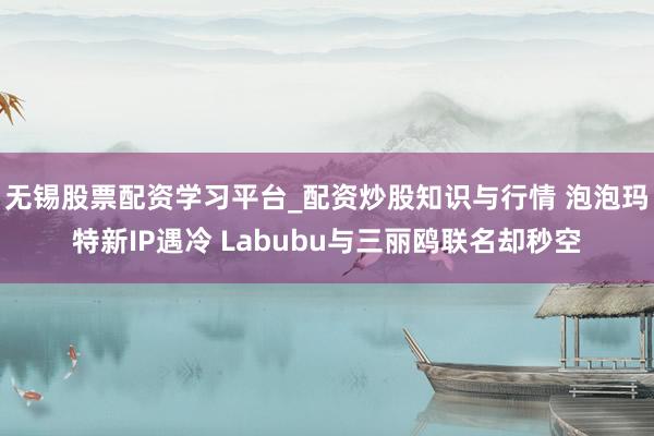 无锡股票配资学习平台_配资炒股知识与行情 泡泡玛特新IP遇冷 Labubu与三丽鸥联名却秒空